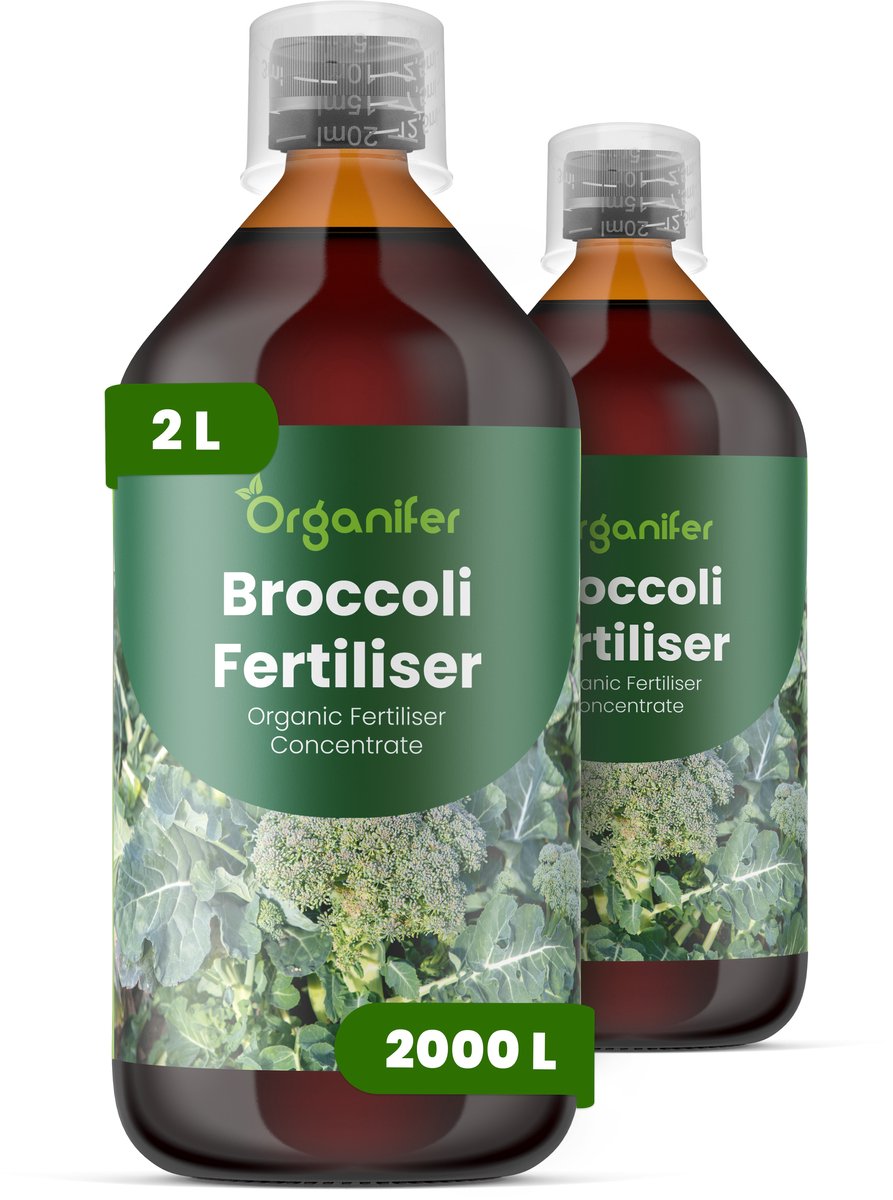 Vloeibare Meststof Voor Broccoli 2X1 L Voor 2000 L - Npk 2-1-8 - Krachtige Groei - Sterk Wortelstelsel - Stressbestendigheid - Nutriëntenopname - Plantvitaliteit - Stevige Stengels - Diepgroene Bladkleur - Voedingswaarde - Organifer