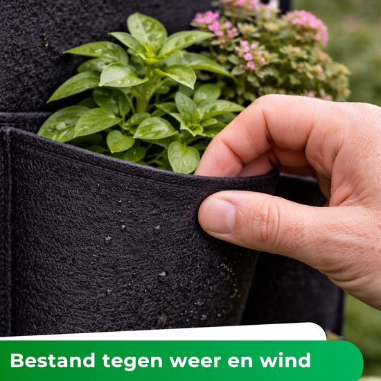 Zwarte plantenzak met 36 vakjes, een hand steekt in een vakje met waterdruppels.