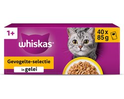 Whiskas Kattenvoer - Adult 1+ - Gevogelte in gelei - 40x85g