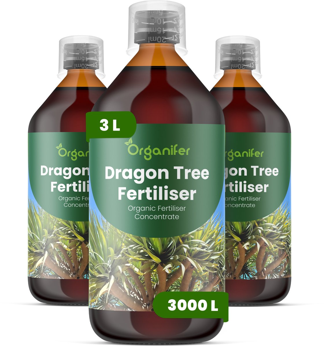 Vloeibare Meststof Voor Drakenboom 3X1 L Voor 3000 L - Npk 2-1-8 - Krachtige Groei - Takvorming - Sterk Wortelstelsel - Nutriëntenopname - Glanzende Zwaardvormige Bladeren - Droogtebestendig - Hittebestendig - Kroonontwikkelin - Organifer