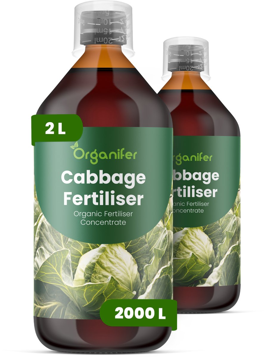 Vloeibare Meststof Voor Kool 2X1 L Voor 2000 L - Npk 3-4-3 - Krachtige Groei -Sterke Bladontwikkeling - Sterk Wortelstelsel - Weerbaarheid - Structurele Stevigheid - Stabiel Groeiritme - Consistente Oogstkwaliteit - Organifer