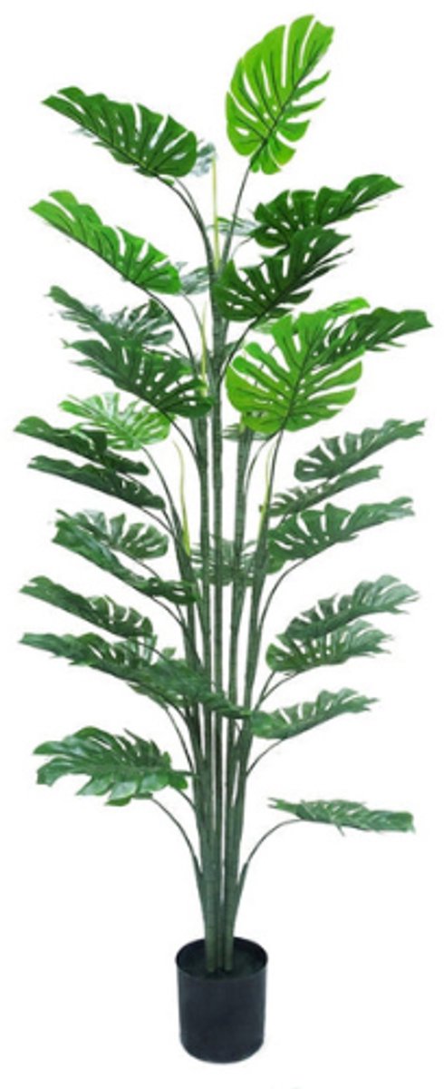 Neverleafs Monstera kunstplant - 160 cm – Tropisch Zuid-Amerika
