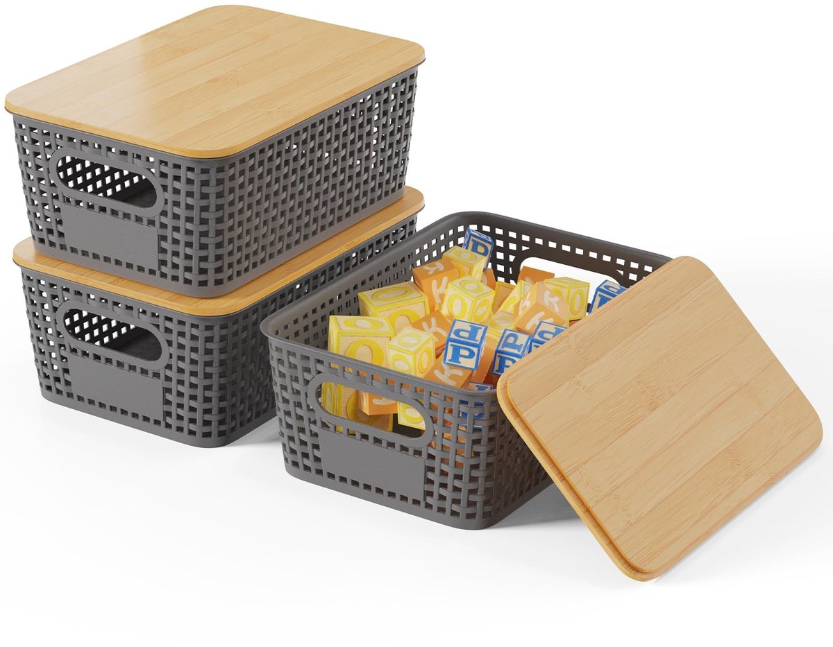 Dailygoods- Opbergdozen 5L - Set van 3 - Plastic - Ventileerbaar - Stapelbaar - Geschikt voor Keuken/Cupboards - Afmeting 25,4×18,3×10,6 cm - Opbergmanden