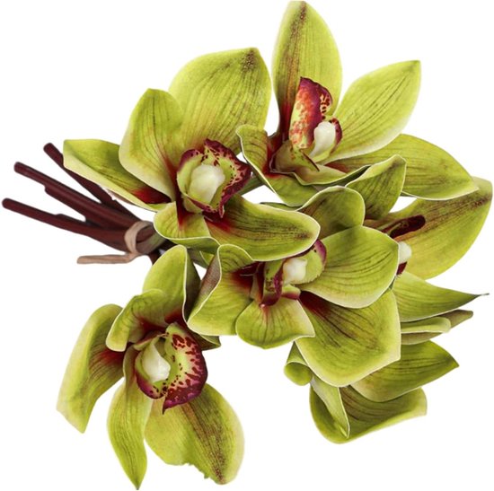 Kunstorchideeën Cymbidium - Zijden bloemen - Bloemstukken maken - Levensechte groene kleur - 255 cm - Groen