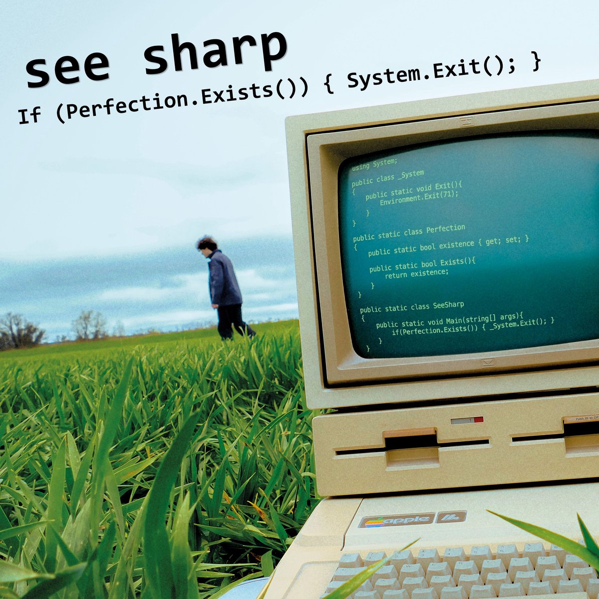 See Sharp - If Perfection Exists, System Exit (Cd)