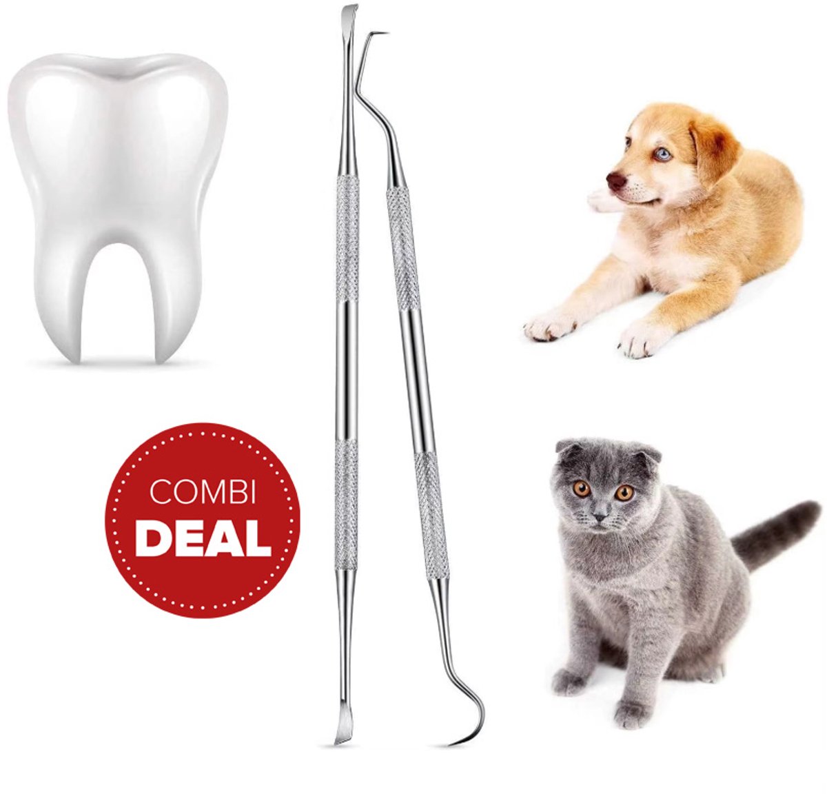 Actie4you® - Tandverzorging Gereedschapset 2 Delig Hond - Tandsteen Verwijderaar - RVS Dieren Tandsteen Verwijder Setje - Hond Mondverzorging - Tandenkrabber - Tandplak Verwijderaar - Tandartshaakje – Tandsteenhaakje