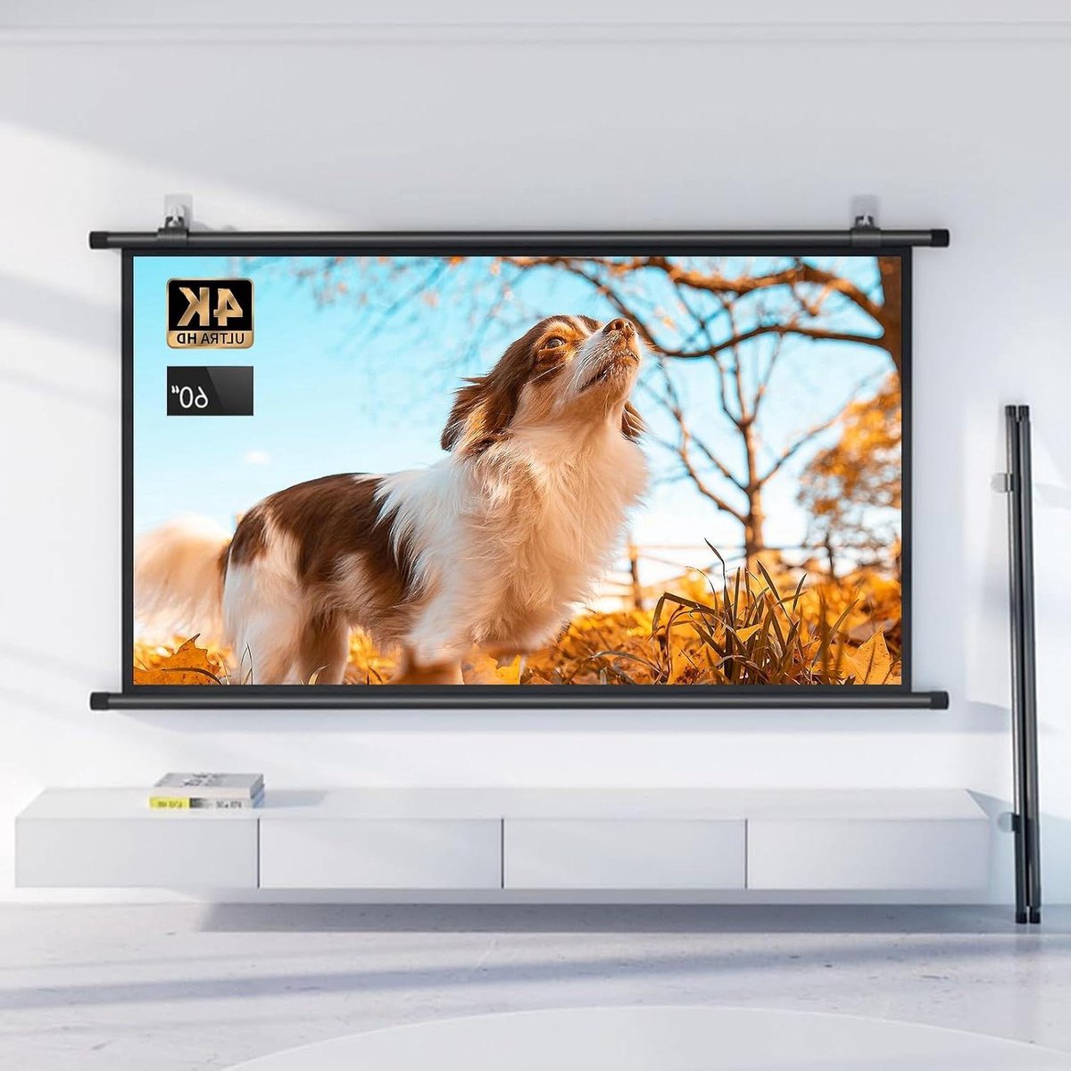 Projectiescherm - Projector scherm - Thuisbioscoop - Zwart maskerrand - 60 inch - Zwart