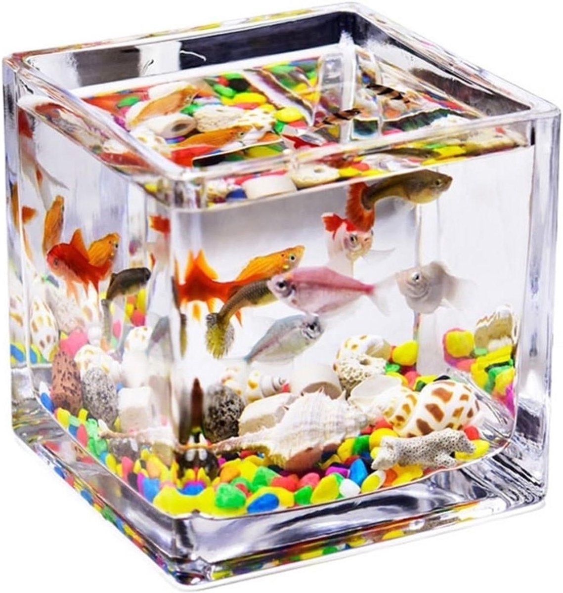 Mini Aquarium - Glazen Tank - Vis Houden - Modieus Ontwerp - 15x12x10 cm - Transparant