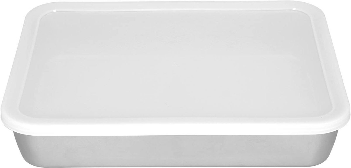 Griddle Pan Stainless Steel Rectangle Tray Baking Cake Tin with Cover for Biscuit Lasagna Flapjack Brownie Cooking/Roasting/Porting (24x18.5x5cm)