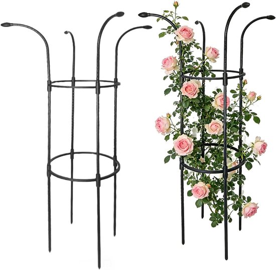 Plantensteun Buiten - Klimplantsteun Torenframe - Planten Ondersteunen - Roestvrij Stevig Staal - 100 cm Hoogte - Zwart