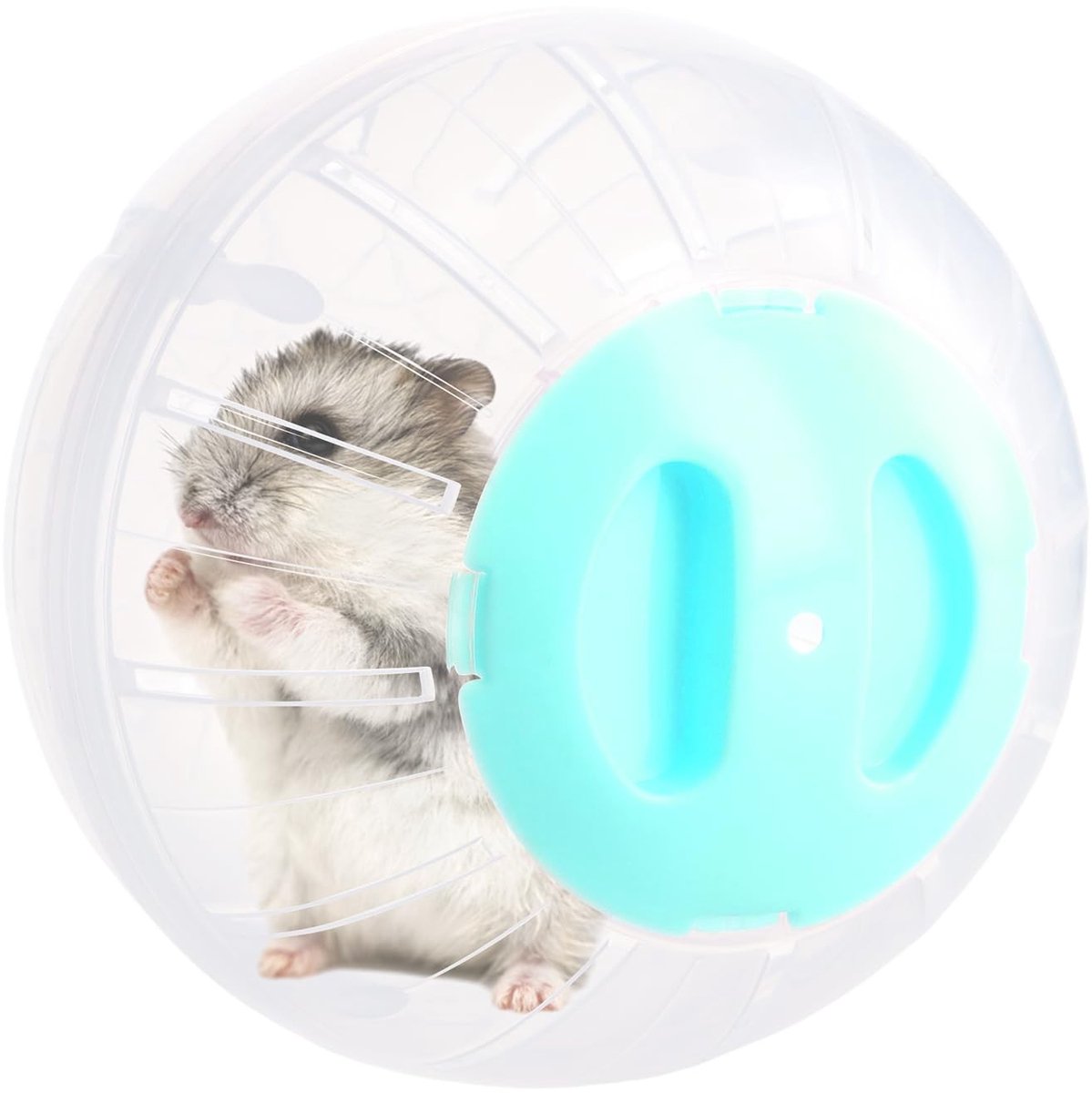 Dailygoods- Hamsterbal 25 cm – Gymnastiekbal – Oefenbal – Kunststof – Ventilatieopeningen – Dwerghamsters/Cavia’s – Dierenloopbal