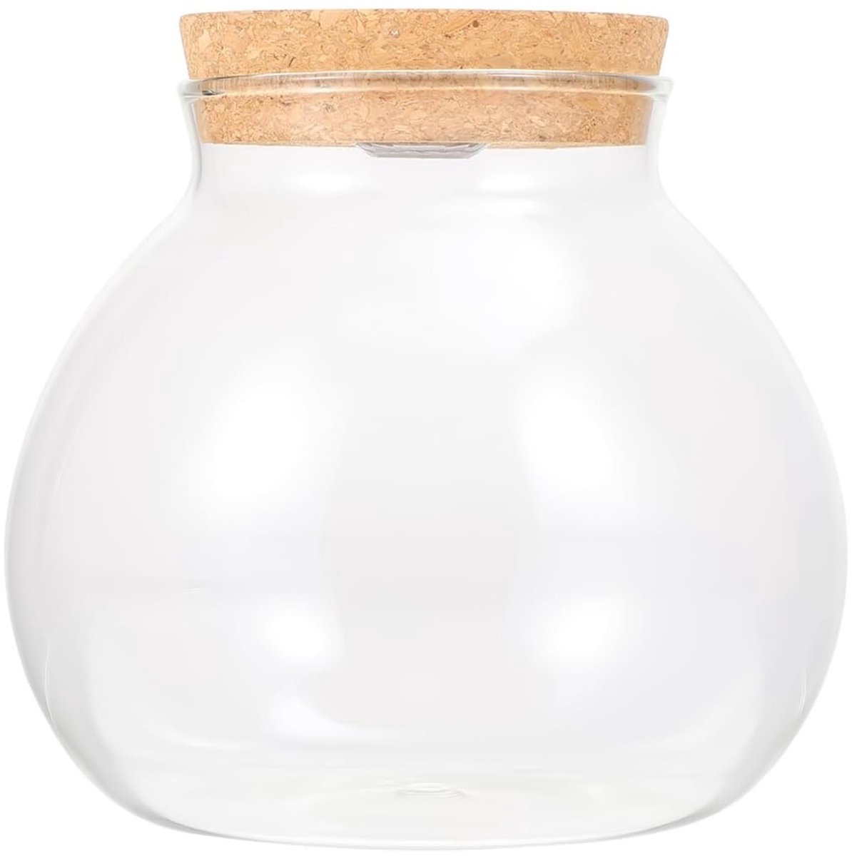 Dailygoods- Plantenbak met kurken deksel - Hydroponische Vaas - Borosilicaatglas - Stabiliteit - Hoogte 15,4 cm - Opening 9,5 cm - Plantenvase