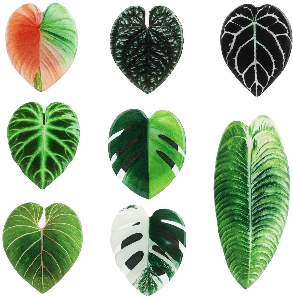 Dailygoods- Bladmagneten 8 Stuks - Decoratieve Koelkastmagneten - Plantenmagneten - Kleurrijke Magneten - Acryl Magneten - Grappige Cadeaus