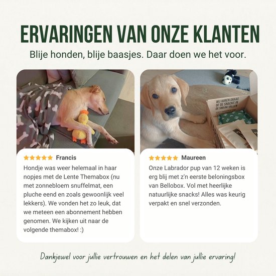 Klantbeoordelingen van Bellobox met blije honden en puppies, inclusief foto's.