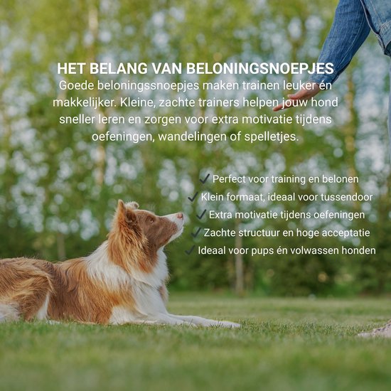 Collie ligt op gras en kijkt omhoog naar een persoon. Tekst over beloningssnoepjes: perfect voor training, klein formaat, extra motivatie, zacht.