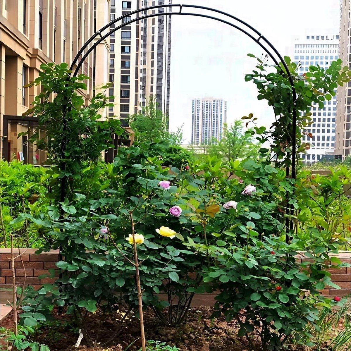 Tuinboog Klimplanten - Rozenboog - Decoratie Buiten - Weerbestendig Latwerk - 100 x 220 cm - Zwart