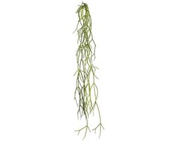 artplants.de Decoratieve vetplant Rhipsalis WUNKE, steekstok, hangend, groen, 60 cm - Kunstmatige vetplant