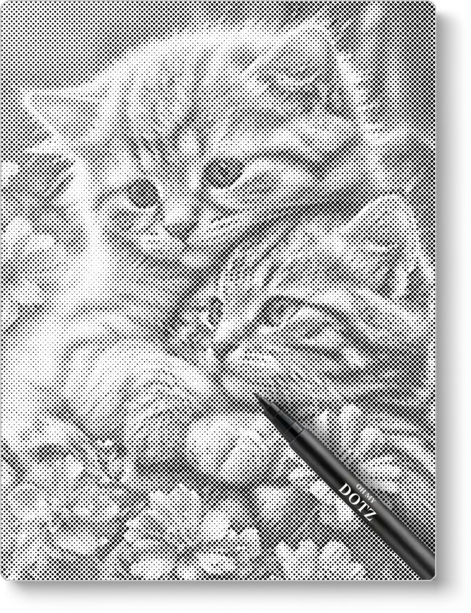 Knuffelende Kittens | Dot painting | 50x60cm Meest gekozen | Dot painting | Oh My Dotz | Dots stippen | Diamond painting & Schilderen op nummer alternatief | Happy hobby