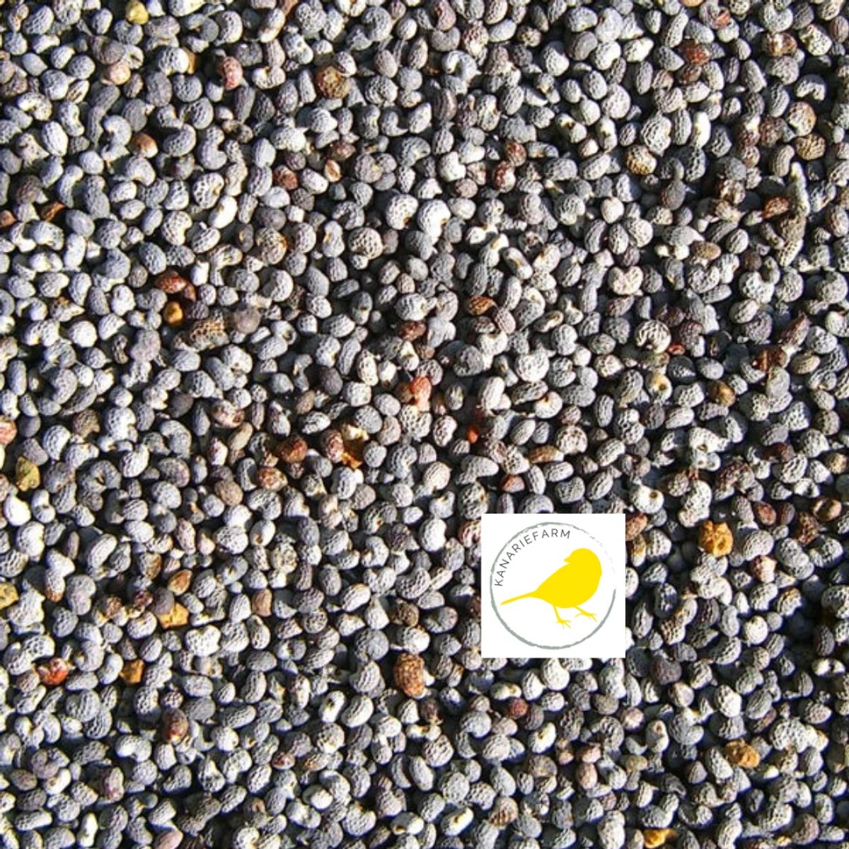 Blauw maanzaad-1kilo-tropen-parkieten-papegaaien-vinken.