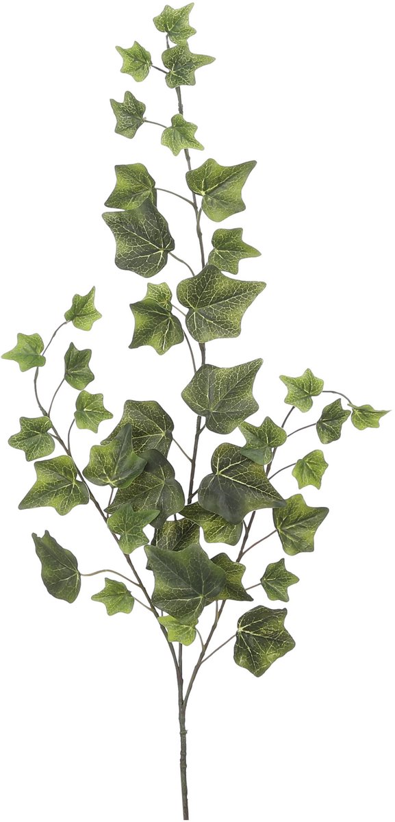 Mica Decorations Kunstplant takken Hedera - H63 cm - groen - kunststof - bladgroen - siertakken - klimop