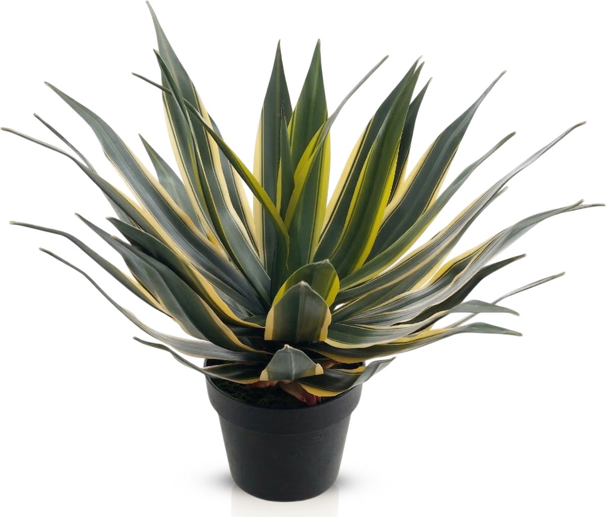 Meisterhome® Kunstplant Agave 55 cm – Realistische Vetplant – Inclusief Pot – Onderhoudsvrij – Groene Kamerplant Decoratie