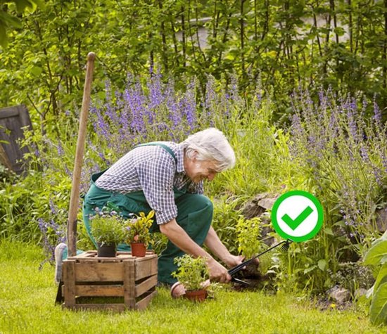 Onkruidverwijderaar Handmatig - Tuin Gereedschap - Onkruid Wieden - Mangaans Staal - 29 cm Lengte - Metaal van Merkloos	 — afbeelding 4