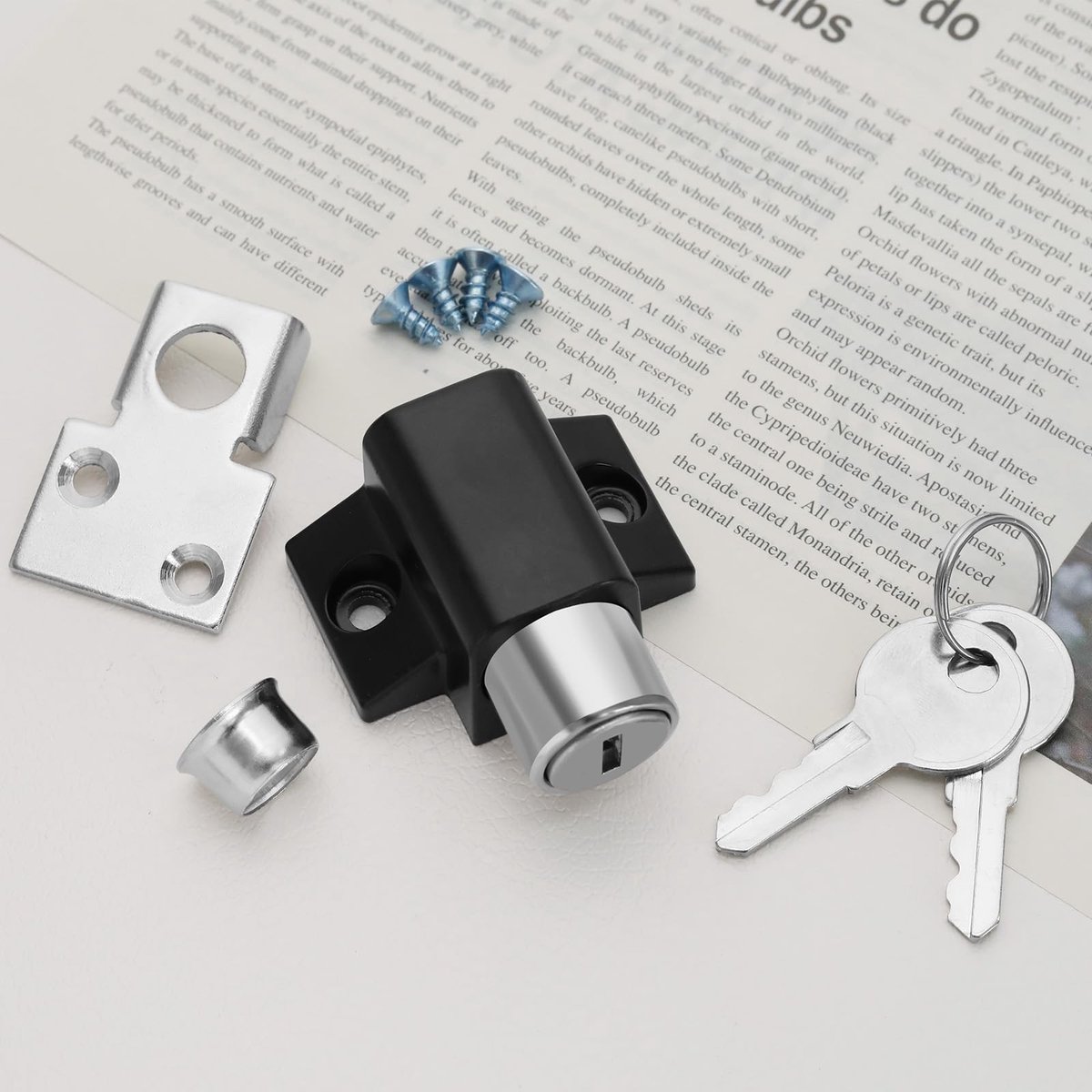 Dailygoods - Set van 2 Schuifdeur Raamsloten met Sleutels voor Veiligheid