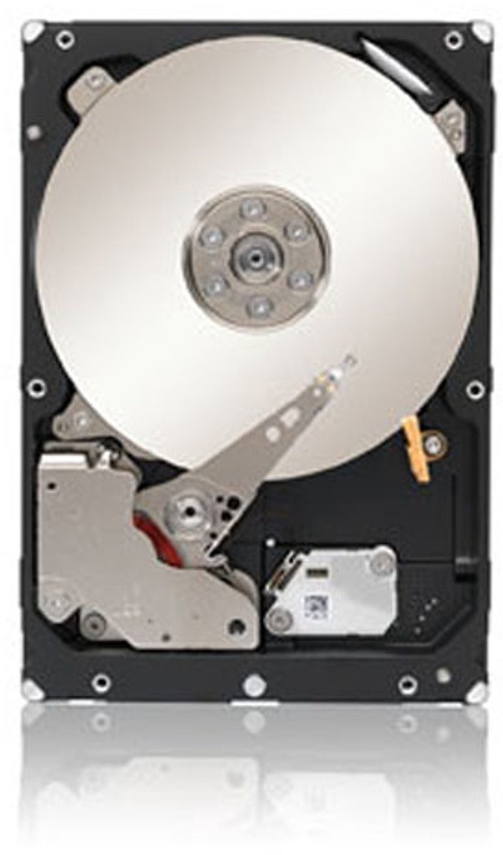 Seagate ST3000NM0023 - Interne harde schijf / 3TB / 3,5 inch SAS