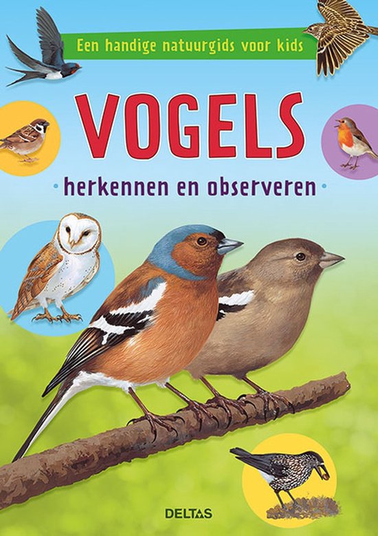 Vogels herkennen en observeren - cover