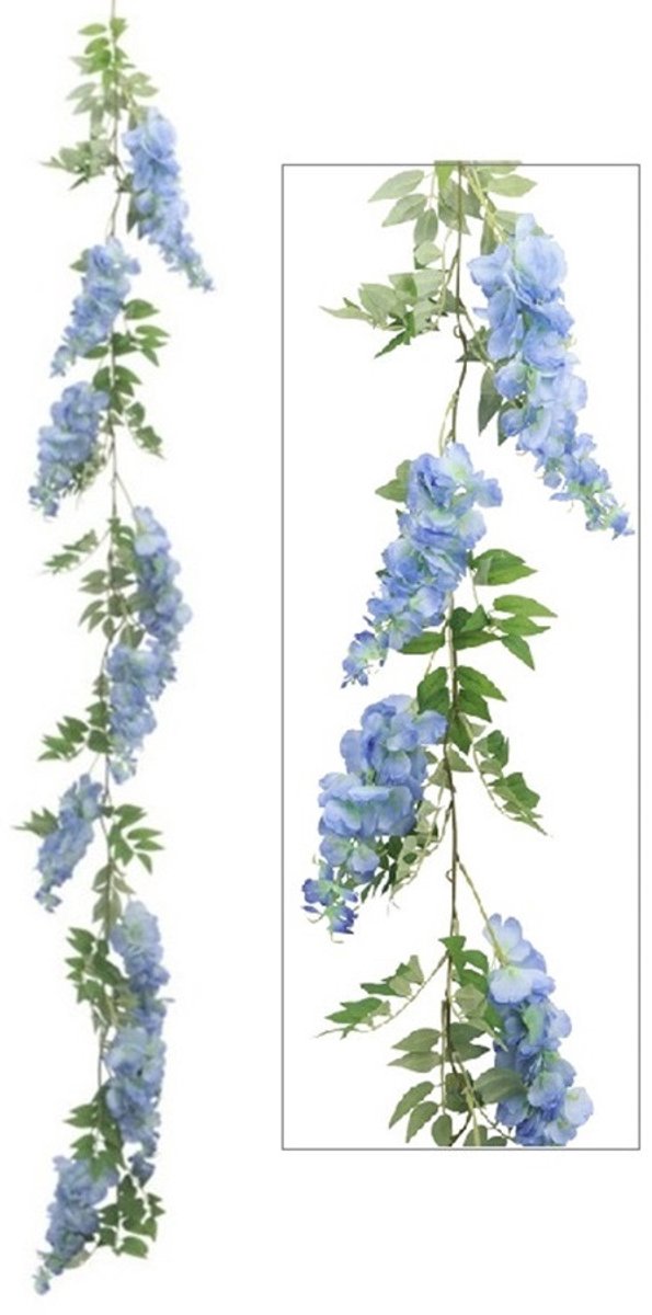 Blauwe regen 310cm