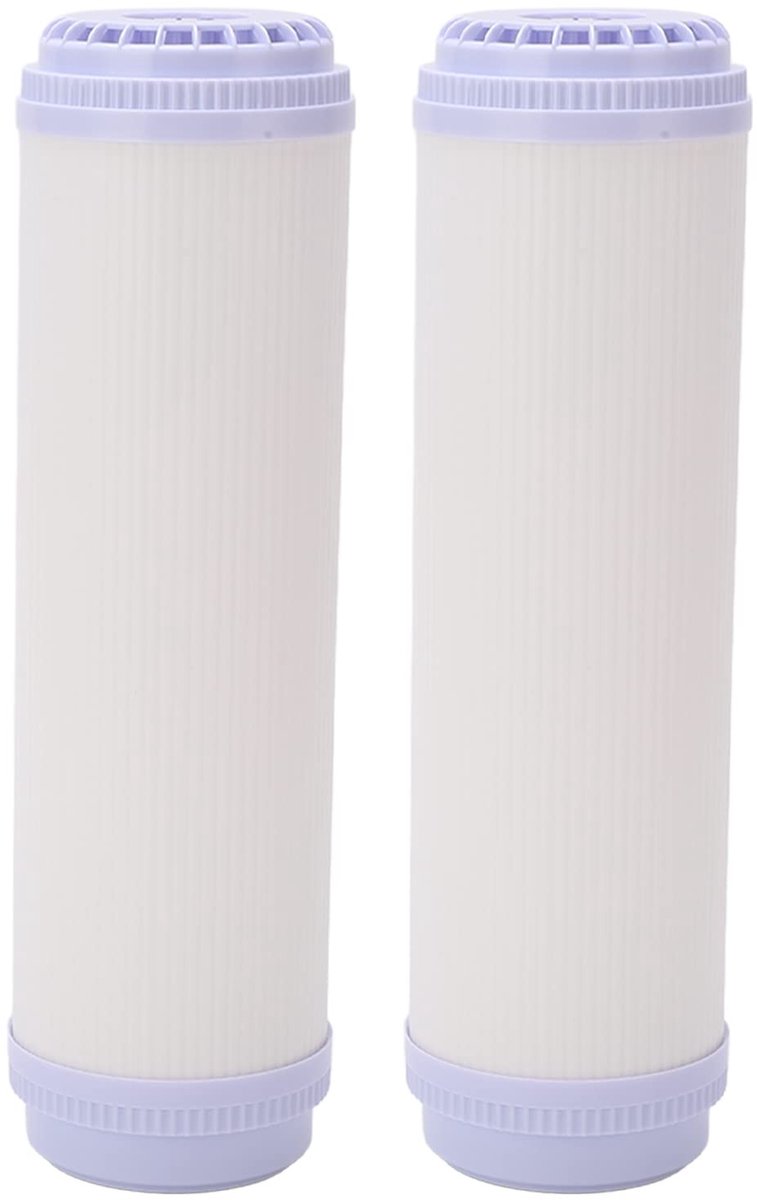 Dailygoods - Dailygoody - Universele Cartridge - Waterzuiveraar - Lange levensduur - 10 inch - Hoge doorstroming - Direct drinkwater - 2 stuks