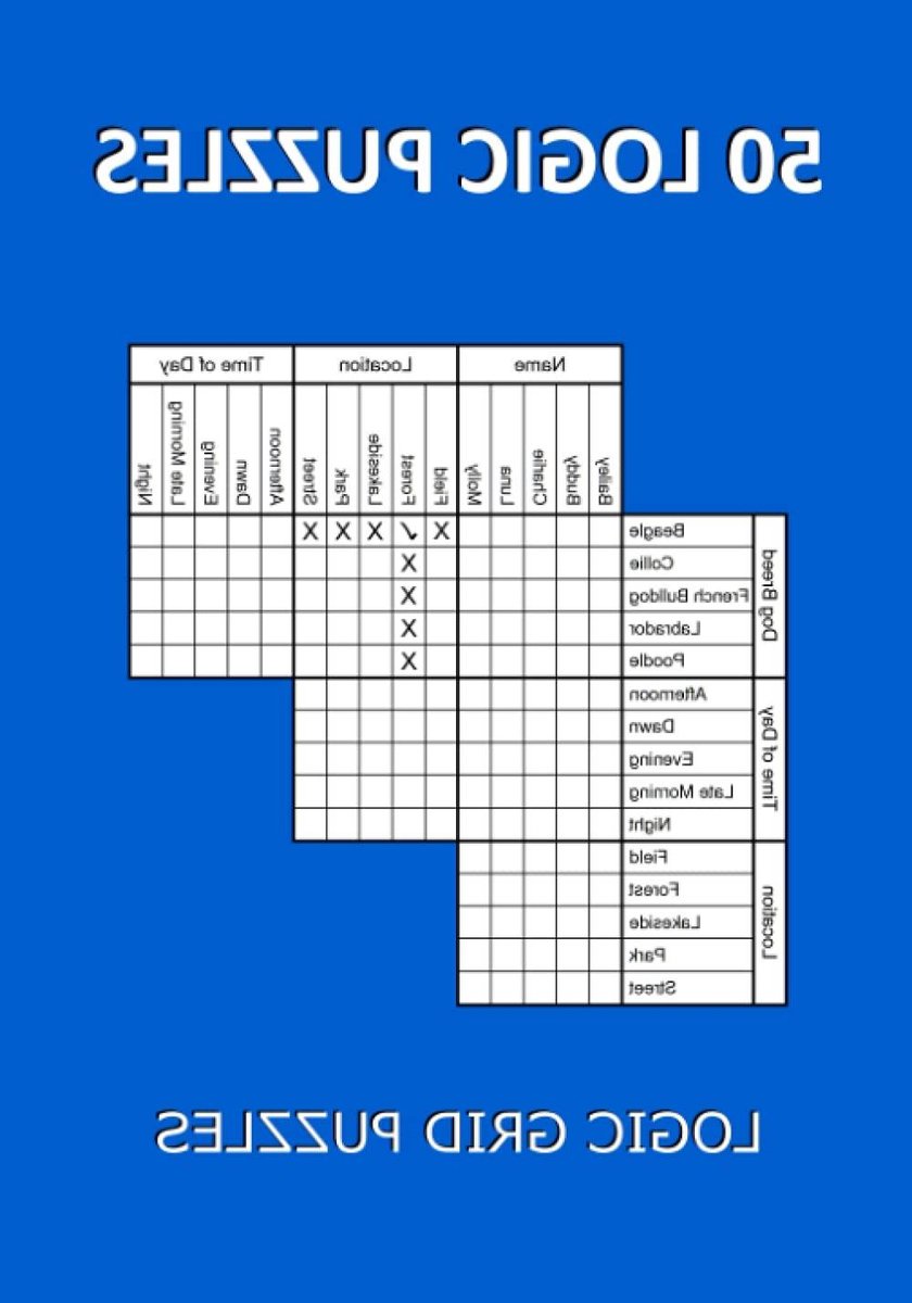 Logica Puzzels - Denkspellen Grid Puzzels - Hersenen Trainen - 50 Unieke Puzzels - 17.78 x 25.4 cm - Niet gespecificeerd