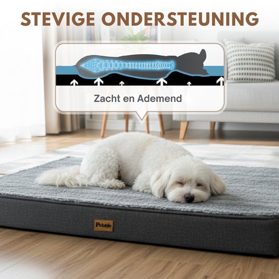 Een kleine witte hond slaapt op een grijs hondenkussen met een geribbelde textuur. Een illustratie toont de ondersteuning van de ruggengraat.