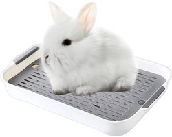 Toilet voor Kleine Dieren, Geschikt voor Konijnen, Cavia's en Hamsters, Inclusief Plastic Rooster en Bak (Wit, S)
