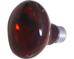 Infrarood Lamp - Warmtelamp Reptiel - Terrarium Temperatuur - Hoge Golf Straling - 75 W - Zwart