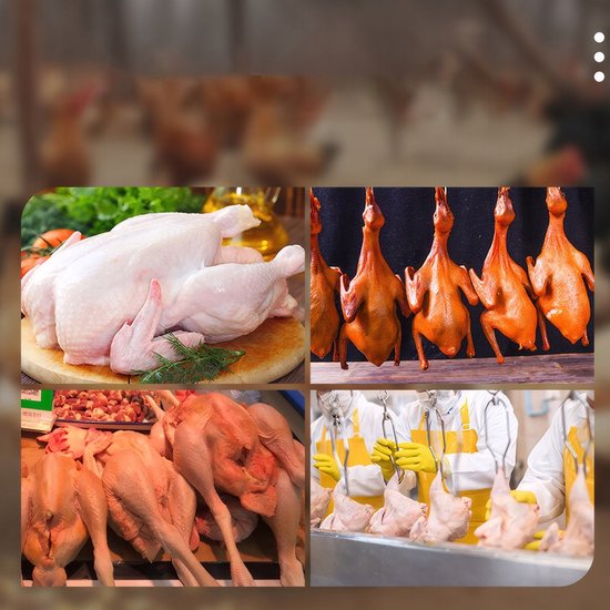 Elektrische Plukmachine voor Gevogelte: Kip, Eend, Gans — afbeelding 2