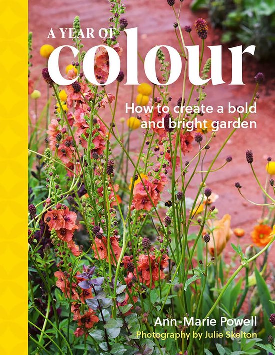 A Year of Colour - cover