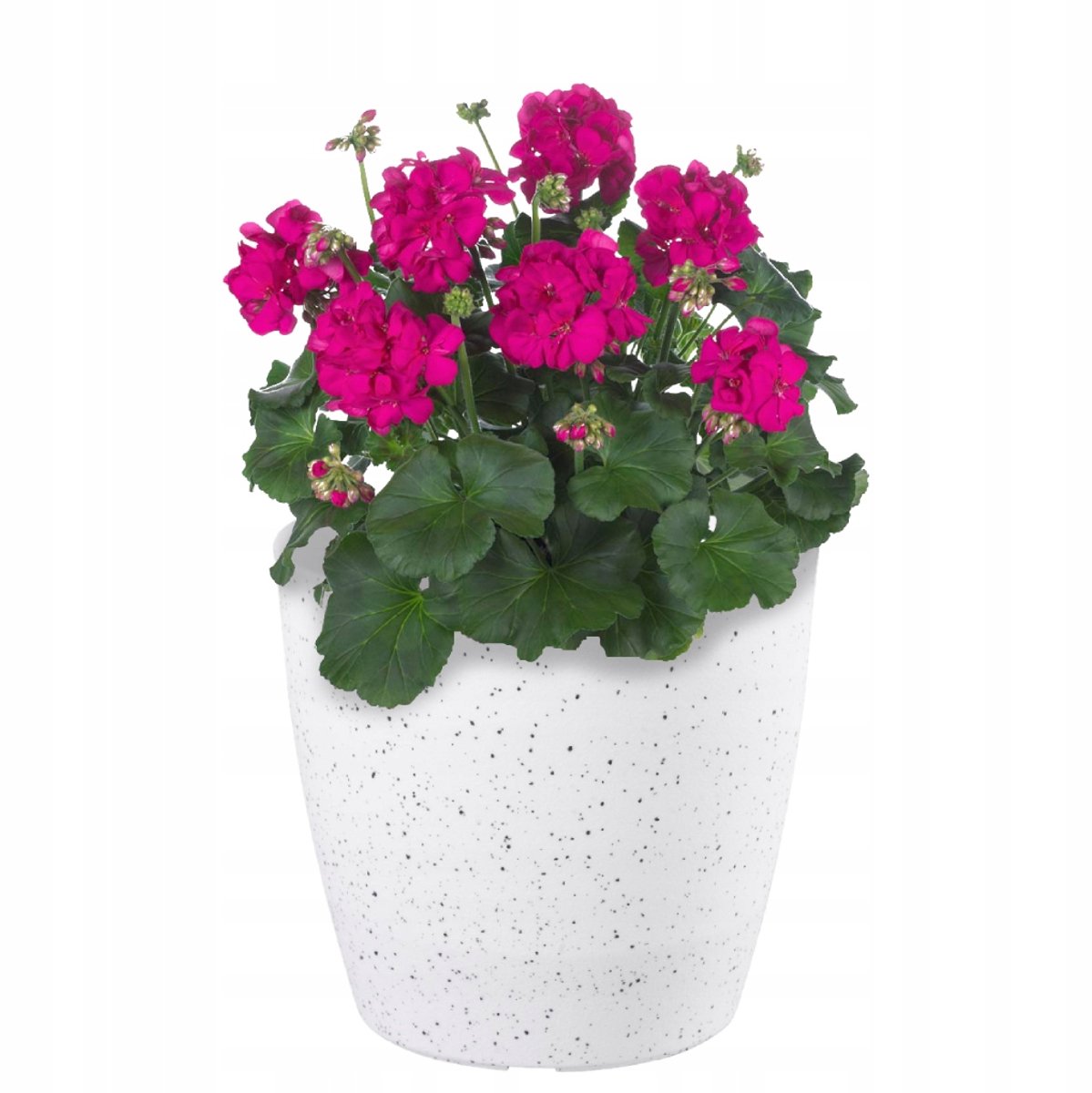 Strend Pro Witte Steenlook Plantenbak 23x20,5 cm