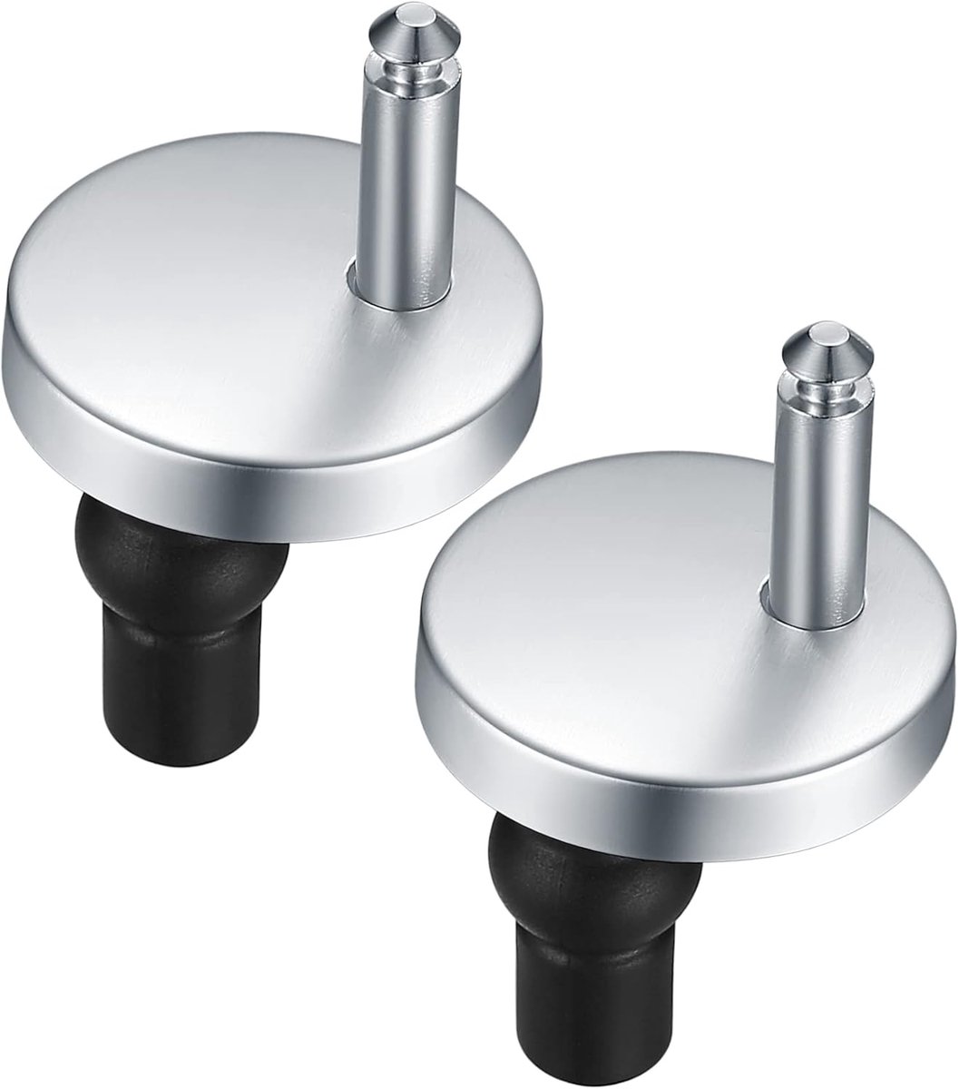 Toiletbril Schroeven - WC Bevestiging - Toilet Reparatie - Roestvrij Staal - 2 Stuks - Zilver