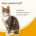 Kattenhalsband met pijlen die de verspreiding van actieve ingrediënten aangeven. Tekst: 'Hoe werkt het? Continue bescherming via huid en vacht.'