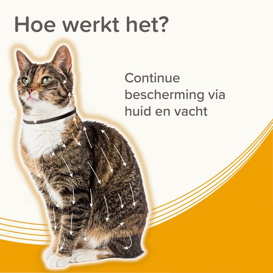 Kattenhalsband met pijlen die de verspreiding van actieve ingrediënten aangeven. Tekst: 'Hoe werkt het? Continue bescherming via huid en vacht.'