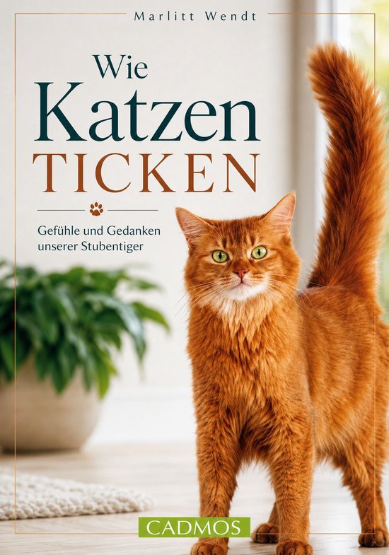 Katzen - Wie Katzen ticken