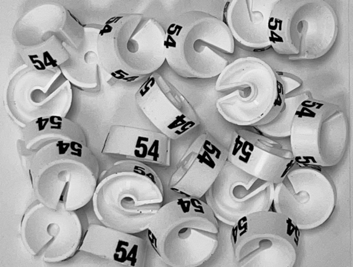Bleijenberg Maatdopje maat 54 wit - Maataanduiding voor kledinghangers per 25 stuks - Maatringetje Ø 20 mm - Kledinghangers - Kleerhanger - Kapstok - Mark-Brics - wisersizer