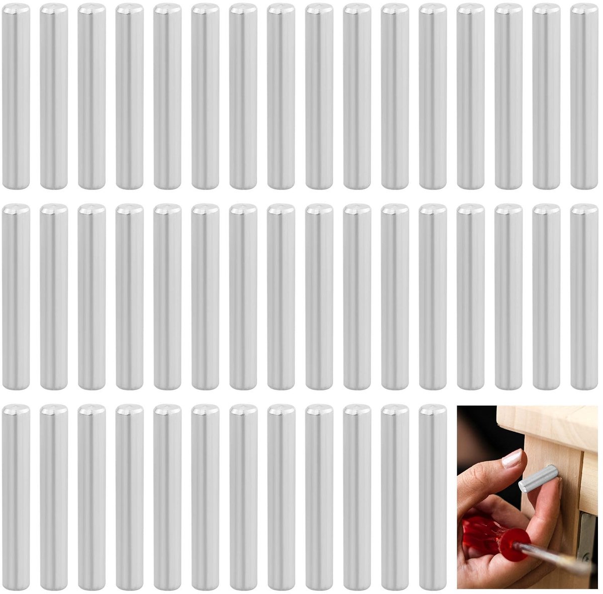 Dailygoods- Cilinderpennen 44 Stuks - Cilindrische Plankdragers - Planksteunpennen - Bodemdragers - Pennenmetaal - 304 Roestvrij Staal