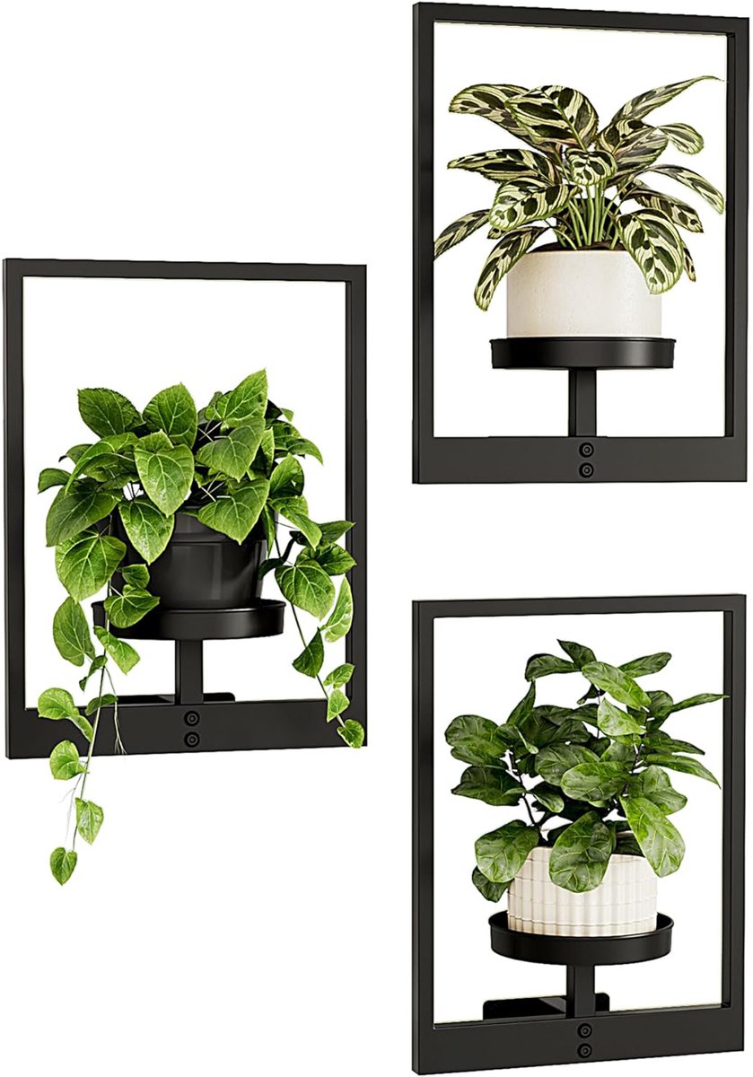Wandplantenbakken - Muur plantenstandaard - hangende plantenbak - plantenplanken - kamerplanten plantenhanger buiten plantenhouder - 3 stuks - zwart metalen - voor woonkamer en buiten, kamerdecoratie