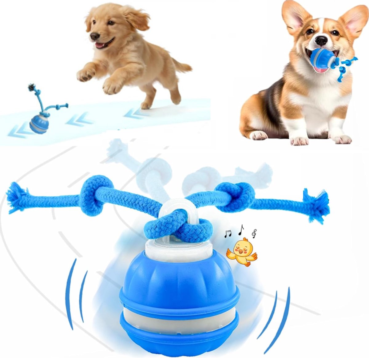 ZVD Interactief hondenspeelgoed – Interactieve stuiterbal – Automatisch rollend hondenspeelgoed – Met touw en vogelgeluiden – Geschikt voor kleine en middelgrote honden – Blauw