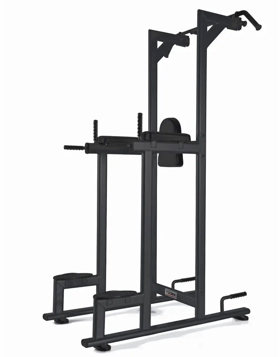 Toorx Professional WBX-B2800 Chin/Dip/Leg Raise