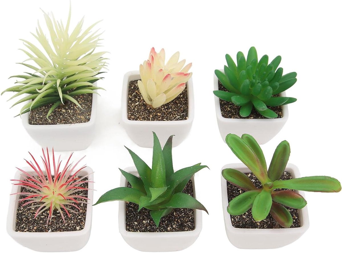 Nep Succulent Set - Kunstplantjes Pot - Decoratie Binnen - Onderhoudsvrij Groen - 6 Stuks 