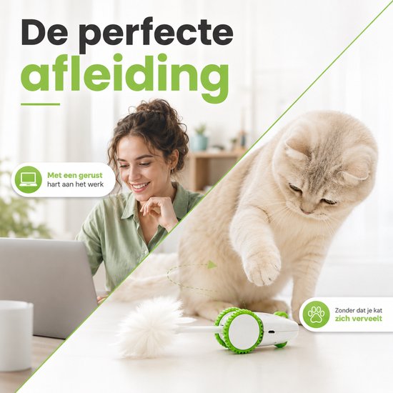 Een vrouw werkt aan een laptop terwijl een kat speelt met een witte en groene robotmuis.