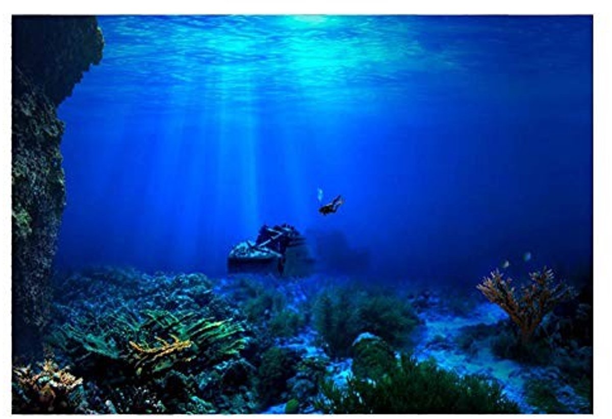 Cosensi- Aquarium Achtergrond Hoogwaardig PVC - Zelfklevende Poster - Decoratie - Hoge Simulatie - Waterdicht - 61 x 41 cm - Aquariumdecoratie